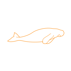Animals Sea Cows Sketch Style Svg Vector, Free Vectors File